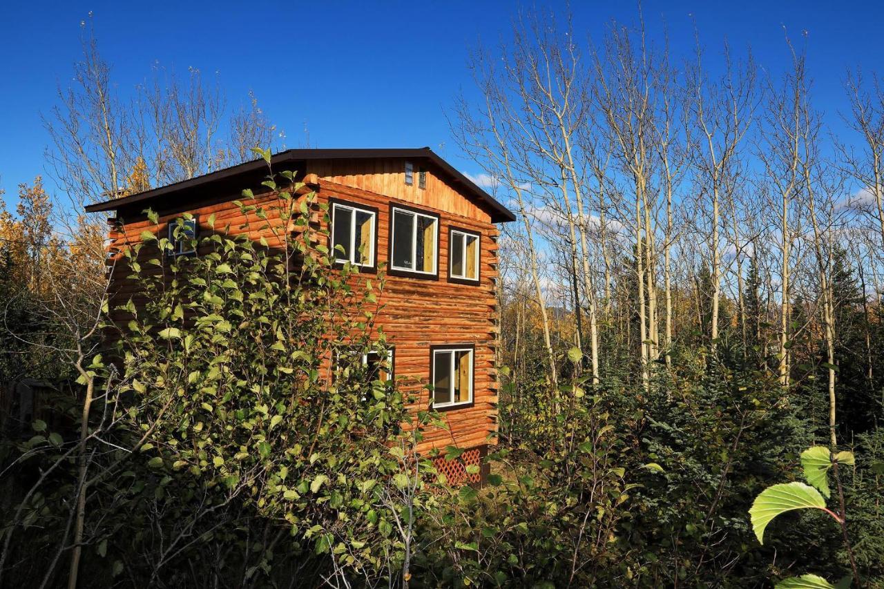 Denali Park View Family Log Cabin 외부 사진
