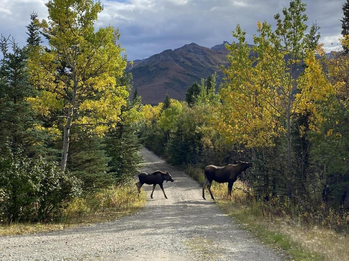 Denali Park View Family Log Cabin 외부 사진
