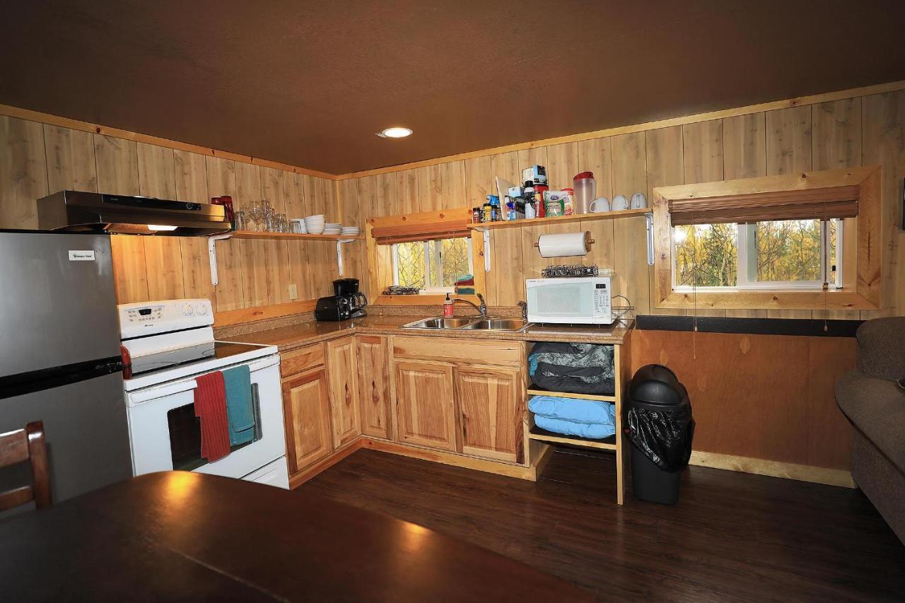 Denali Park View Family Log Cabin 외부 사진