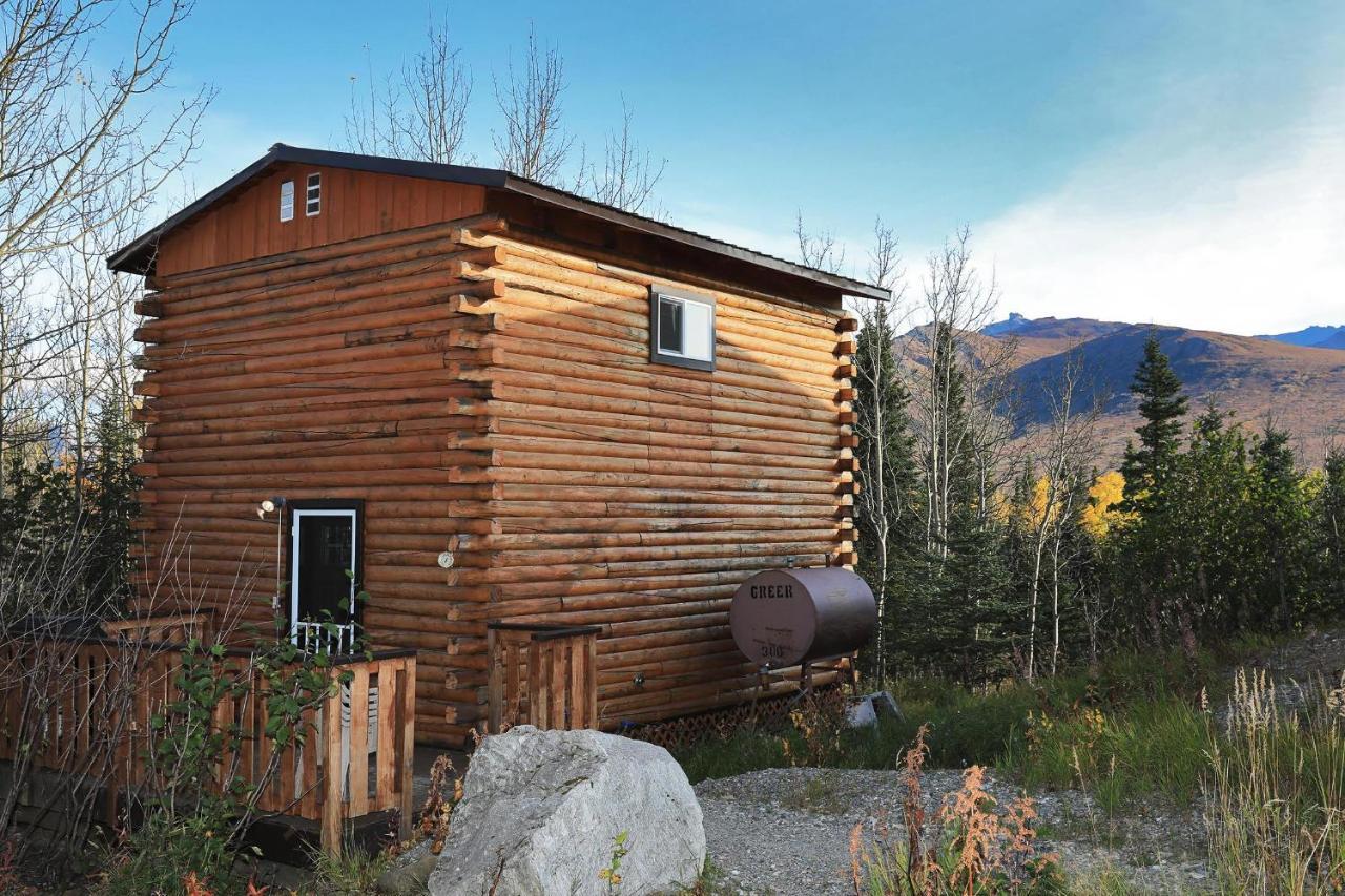 Denali Park View Family Log Cabin 외부 사진