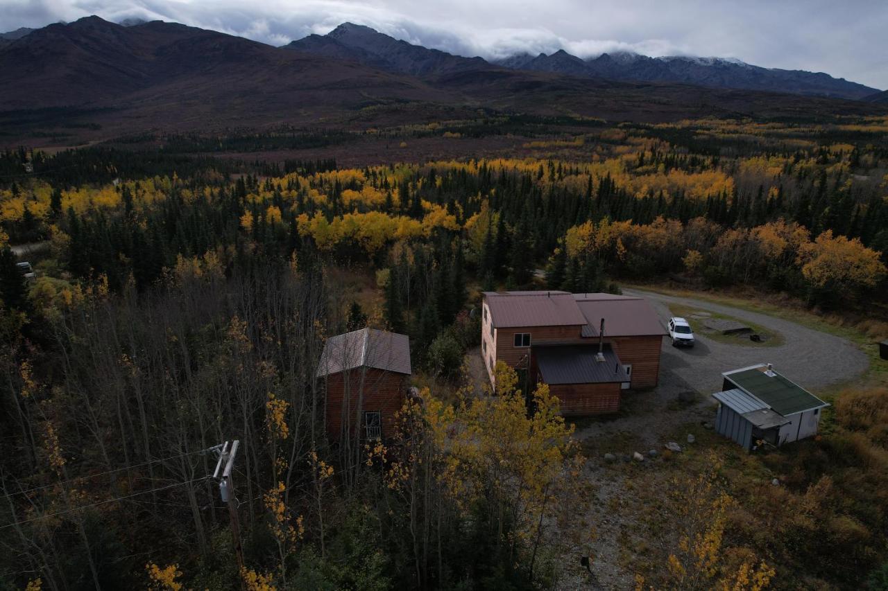 Denali Park View Family Log Cabin 외부 사진